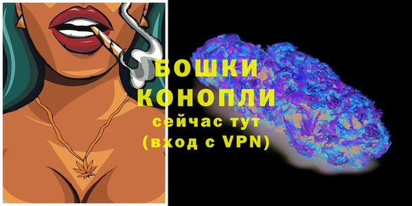 бошки Аркадак