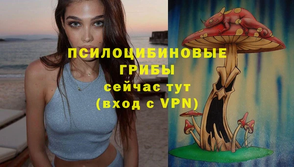 бошки Аркадак