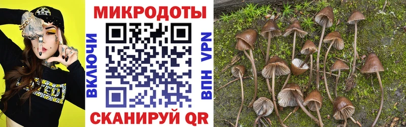 Псилоцибиновые грибы GOLDEN TEACHER  где купить   Нововоронеж 